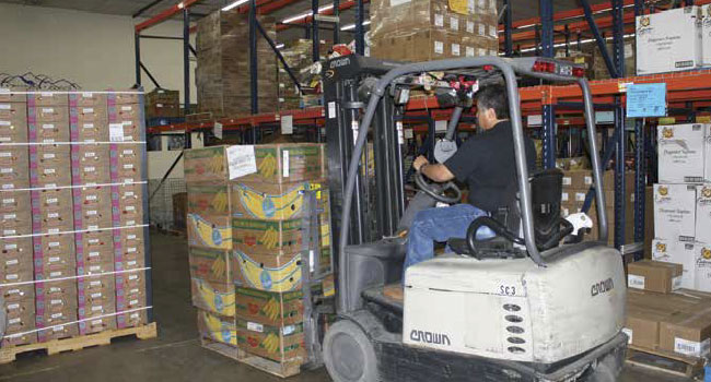 Fight Against Hunger