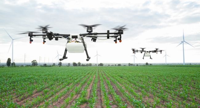 drone in field