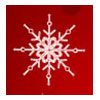 The 12 Days of Security Tips